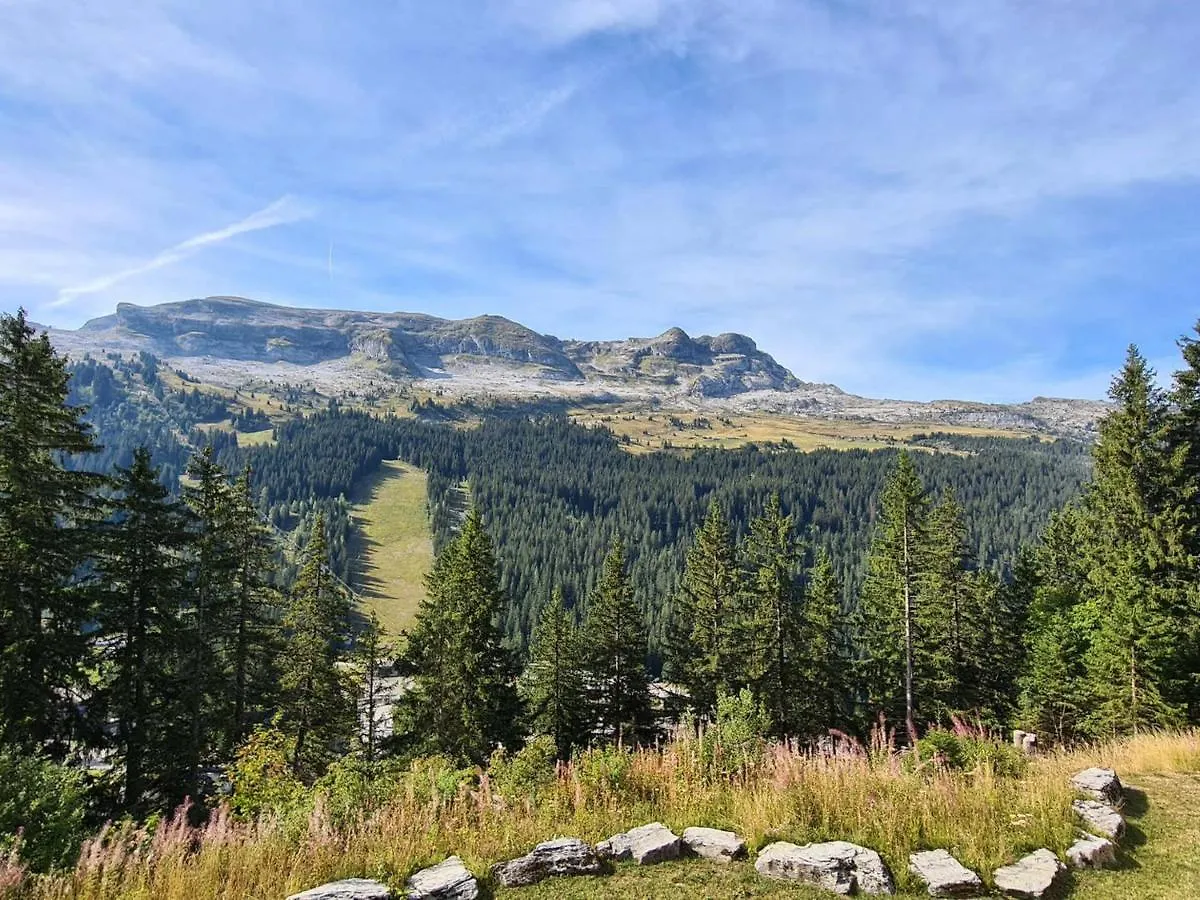 Studio Flaine, 1 pièce, 4 personnes - FR-1-425-156 Appartamento Flaine